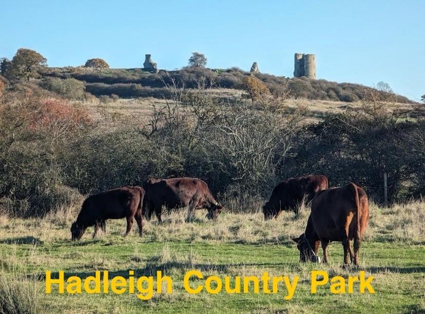 De La Paix Hadleigh (Essex)